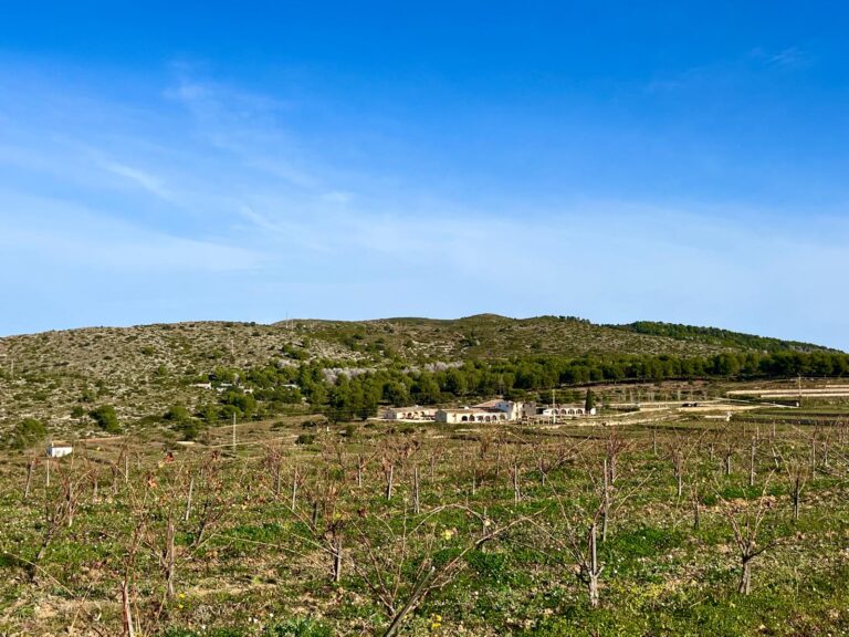 Belle découverte : la bogeda Montesanco, un domaine familial  et des vins autochtones à déguster en bonne compagnie
